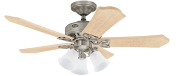Hunter Ceiling Fans